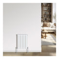 Radiateur salle de bain blanc 600x408 mm double barre acier